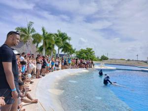 august events in punta cana people