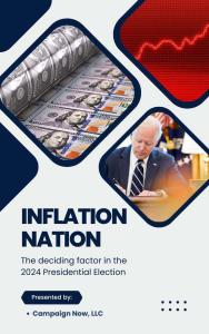 Cover of Inflation Nation Ebook