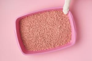 Cat Litter Market Size, News, Research