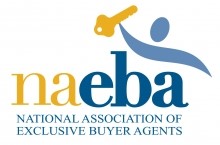 Logo of NAEBA