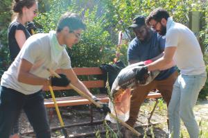 Project Petals volunteers planting in their community garden.