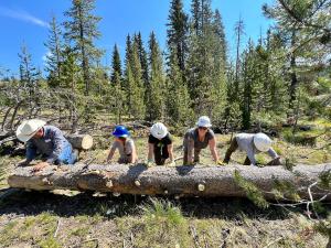 SBFC Volunteers Clear a Log from an Idaho Trail