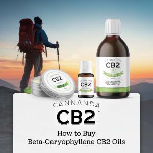 Need help selecting the right CB2 oil for you? Cannanda's CB2 oil guide makes it easy to ensure you get the best beta-caryophyllene product for your needs.