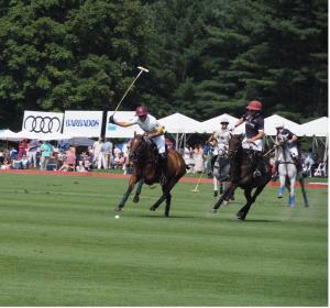 Polo Action (Photo Credit: LuxuryExperience.com)