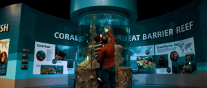 A man carrying a young boy, observes a fish tank in a museum, captivated by the aquatic life within the glass enclosure.