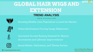 Global Hair Wigs and Extension Market Trends and Drivers 2023