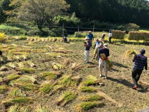 Eco Farming in Toyooka City