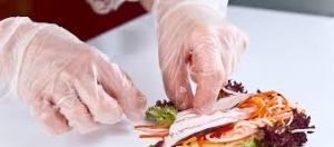 Food Service Gloves Market