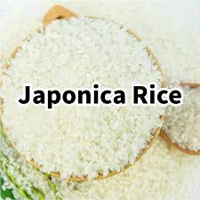 Japonica Rice Market