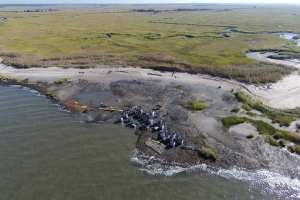 Aerial view of an oyster reef. Credit: Damon Noe (TNC) / Wikimedia.