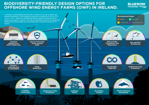 Infographic illustrating 13 biodiversity-friendly design options for offshore wind farms in Ireland