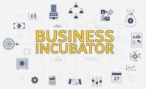 Business Incubator Market