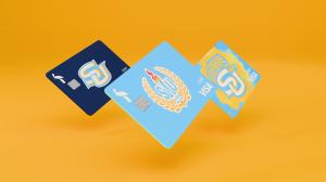 Pelican's Southern University School Pride Debit Cards over gold background