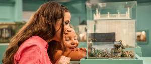 A woman and a child closely observe a small-scale model inside a museum exhibit.