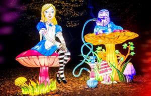 Alice and The Caterpillar sit on mushrooms