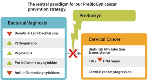 Central paradigm for PreBioGyn cancer prevention strategy