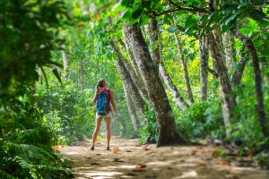 Costa Rica Tour Packages Jungle