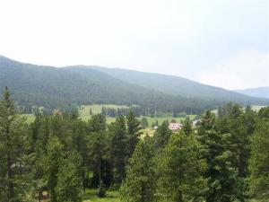 Arrowhead Manor Hotel View