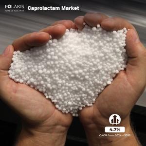 Caprolactam Market