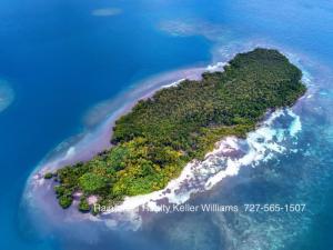 Frenchman's Caye Island aerial view