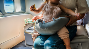 The Ultimate Lap Infant Travel Solution