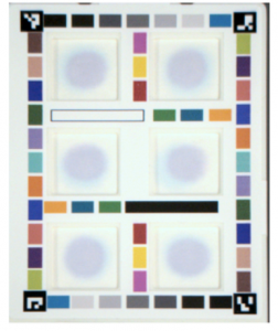 Image of HueCard that has had a Total Protein test completed.  There is a White Card with many colored squares bordering it with 6 inset squares with blue and purple circle inside it.