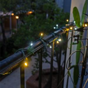 Wintergreen Lighting 50 Count 5MM Champagne String Lights