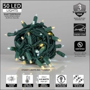 Wintergreen Lighting 50 Count 5MM Champagne String Light