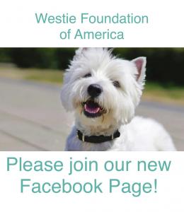 Westies and The Westie Foundation of America launch new Facebook page