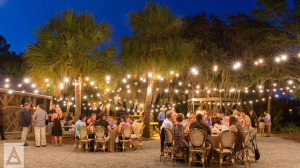 Group dinner outdoors under palm trees and strung lights.