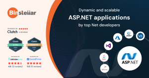 ASP.NET developers