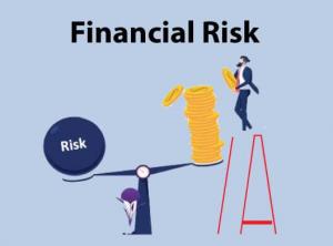 Financial Risk