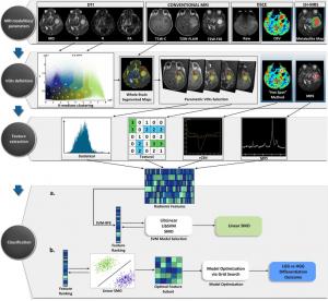 Medical Image Analysis Software industry