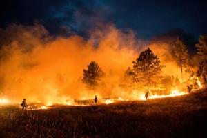 Photograph of a burning brush fire. Four firefights are seen in the foreground with a line of fire approaching multiple trees in the background.