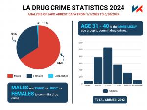 Los Angeles Drug Crimes in 2024: Insights from LAPD Data