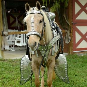 Palomino horse wearing an elaborate western saddle and bridle