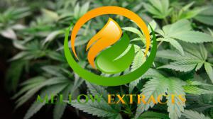 Mellow Extracts