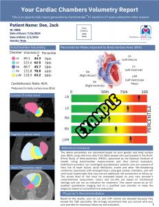 AutoChamber sample report