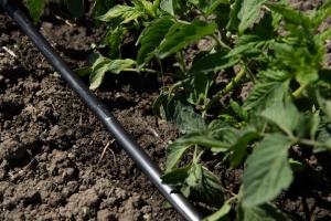 Rivulis D4000 that unlocks new terrain for drip-irrigation