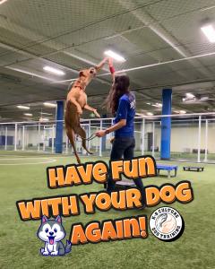 Dog Having FUN Playing at Daycare