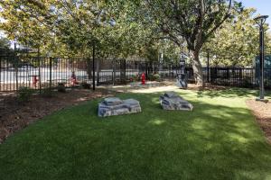 a photo of a dog park with grass, plants, and red fire hydrants