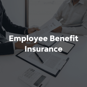 Employees Benefit Insurance Market