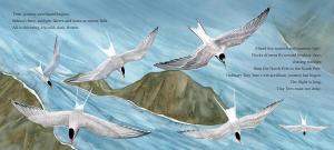 a sample page from Tiny Tern Takes Flight, showing arctic terns flying over ocean waves