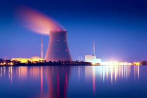 Nuclear Energy Service Market