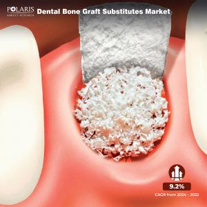  Dental Bone Graft Substitutes Market