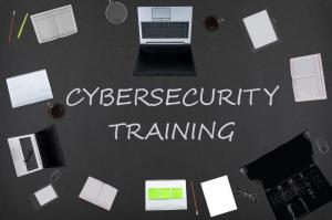 Cybersecurity Training Services market