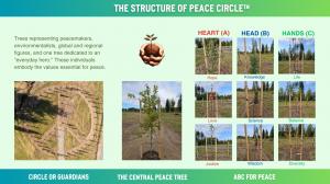 Infographic of the Peace Circle™ structure, displaying an aerial view with the Central Peace Tree in the center, the Circle of Guardians dedicated to peacemakers and environmentalists, and three lines labeled Heart, Head, and Hands. Each line includes tre