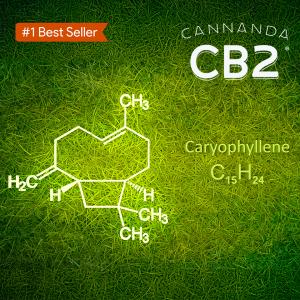 Cannanda CB2 products are based on an emerging health compound called beta-caryophyllene (BCP). Visit https://cannanda.com/pages/cb2studies for a list of studies on the health benefits of BCP and CB2 receptor activation.