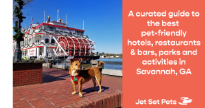 Jet Set Pets Curated Guide to the Best Pet-Friendly Places and Activities in Savannah, GA