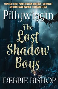 PILLYWIGGIN The Lost Shadow Boys by Debbie Bishop